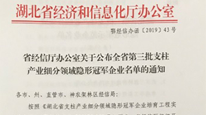 星空官方站网站-星空（中国）
被认定为“湖北省支柱产业细分领域隐形冠军示范企业”